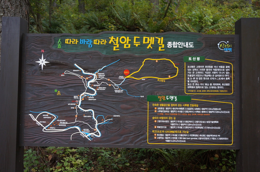 태백고원자연휴양림 이미지
