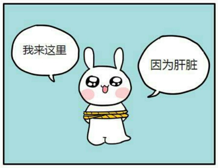 부산 경찰서의 공익성 전래 동화 패러디 | 인스티즈