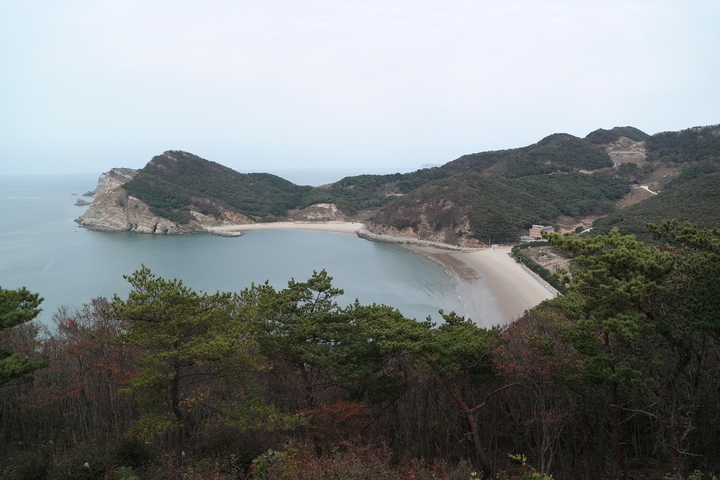트레일(Trail) 이미지