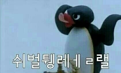 아코코 이미지