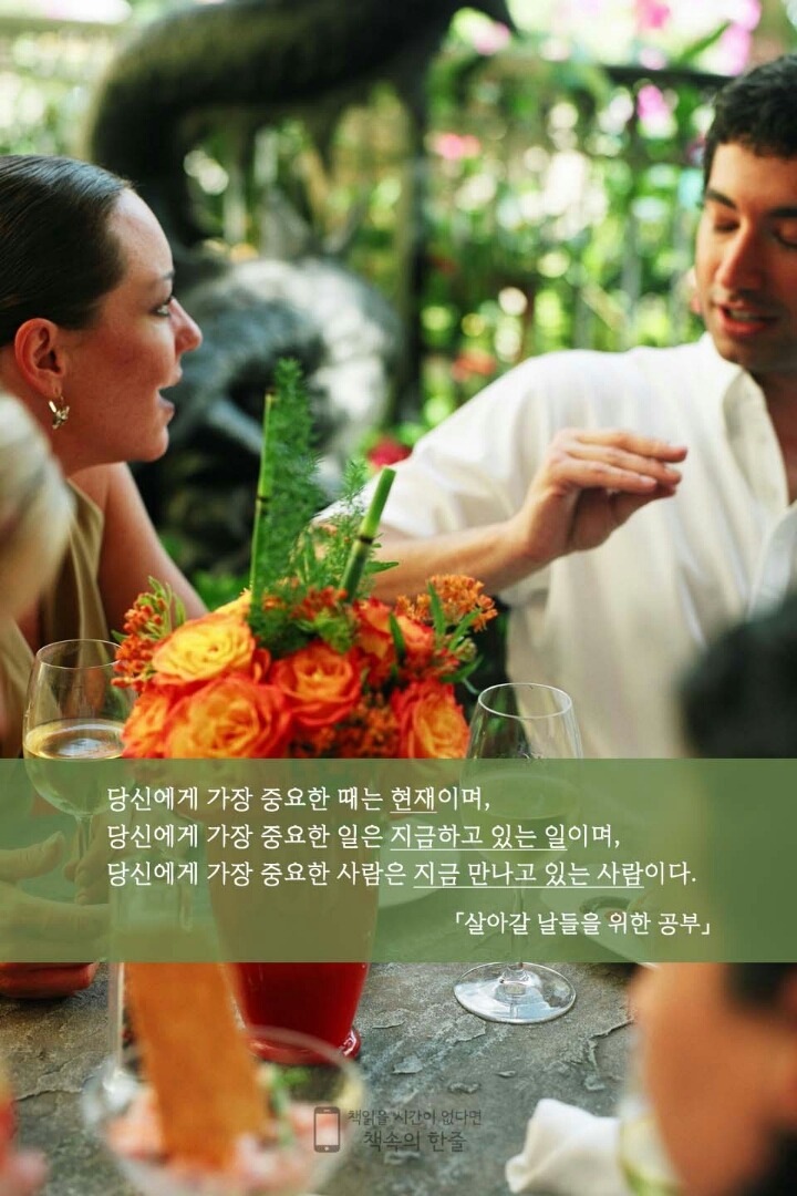 풀향 이미지
