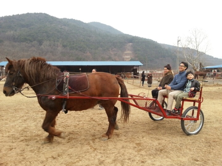 마차 이미지