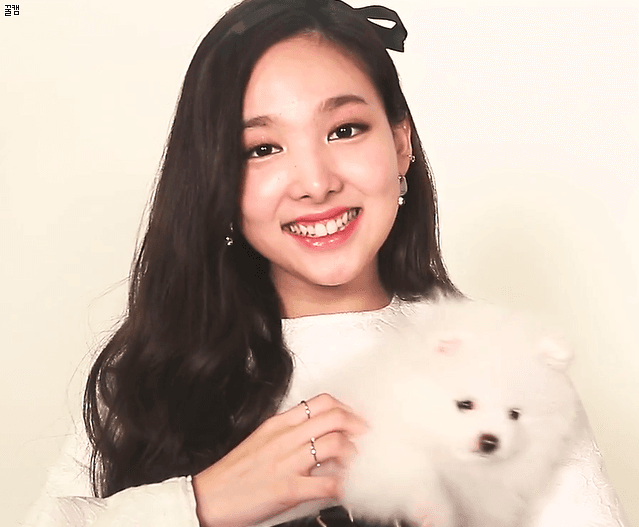 [트와이스] 나연쓰와 광고 찍은 멍멍쓰 ㅋㅋㅋㅋ | 인스티즈