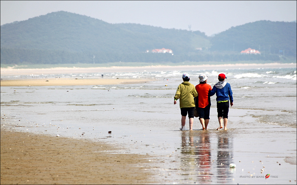 샬롬 이미지
