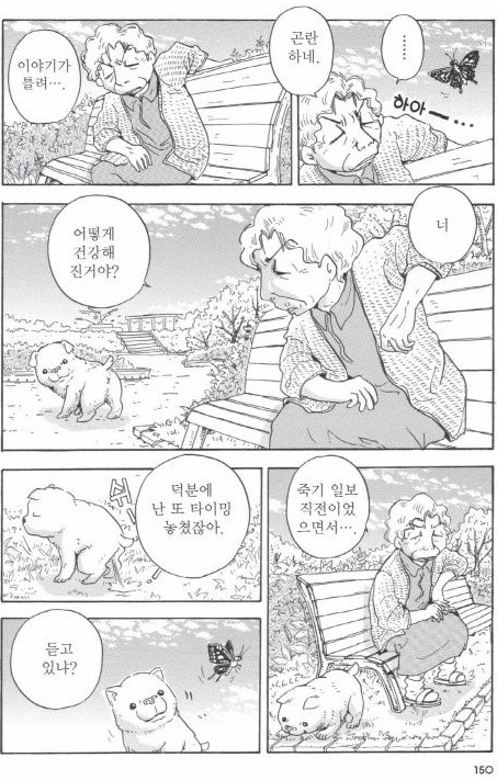 개를 주워 오면 안되는 이유 | 인스티즈