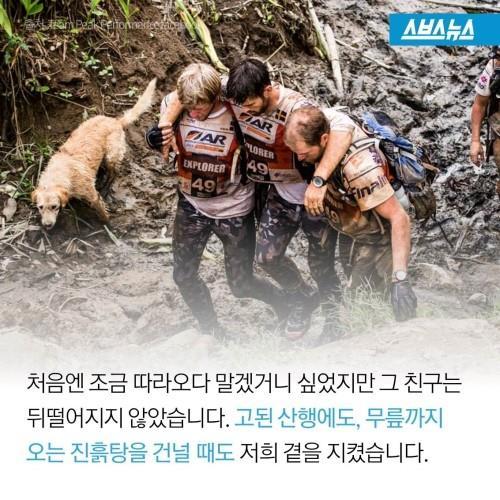길에서 만난 친구 | 인스티즈