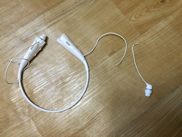 집안을 누비는 냥이들 | 인스티즈