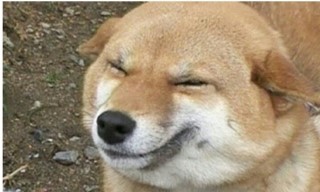 쿵쿵따 이미지