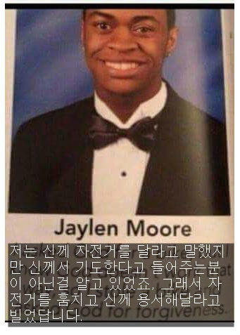 저는 무죄입니다 | 인스티즈