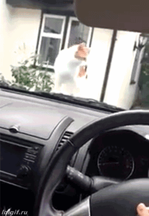 점프 키가 이거였나??.gif | 인스티즈