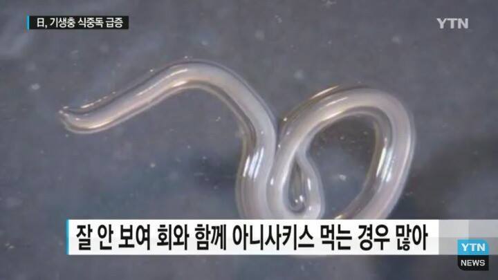 일본 여행 시 주의사항 | 인스티즈