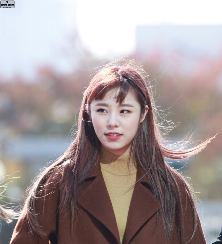 강아지 같은 마마무 휘인 | 인스티즈