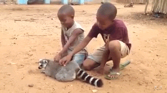 아프리카에 잔존하는 노예제도...gif | 인스티즈