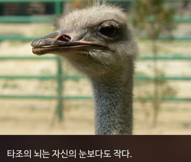 우리가 몰랐단 16가지 | 인스티즈