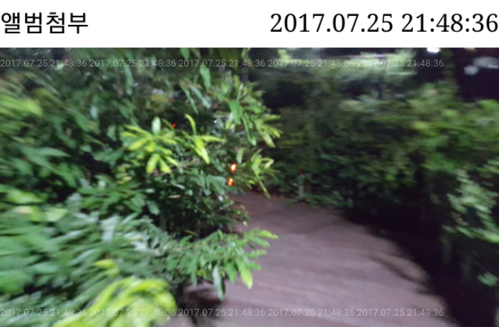 대주문구 이미지