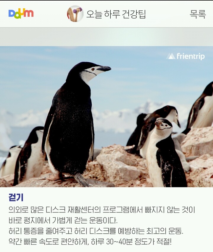 허리와 척추에 좋은 운동 | 인스티즈