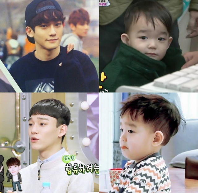 묘하게 닮은 다을이과 남자 연예인.jpg +추가 | 인스티즈