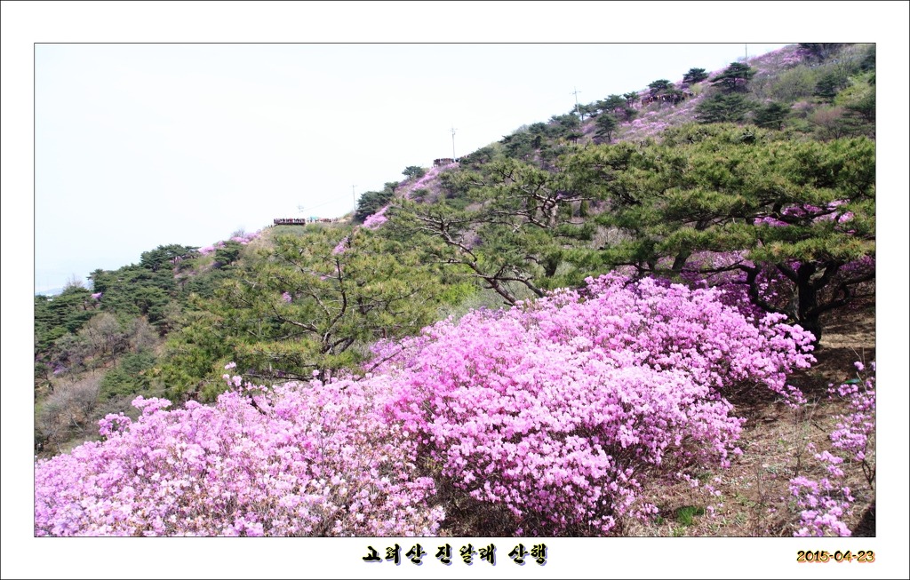 고려산 이미지