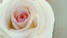 가슴골.gif | 인스티즈