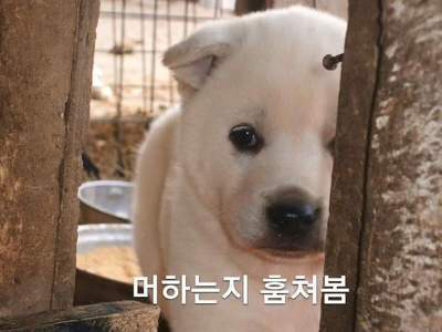 명절때마다 우리가 바빠지는 이유중 하나 | 인스티즈