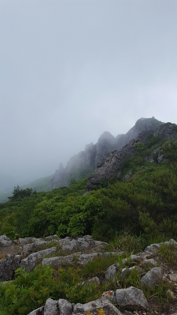 가지산농원 이미지
