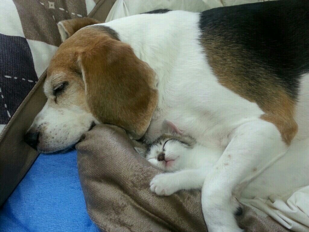 단비 이미지