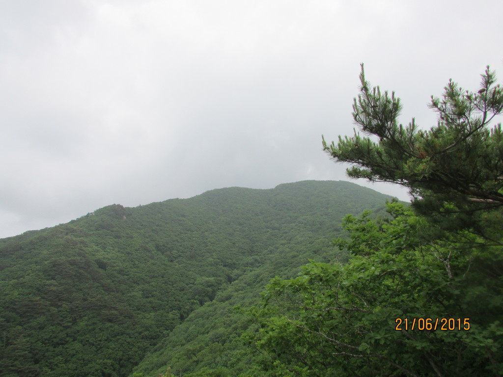 수도산자연휴양림 이미지
