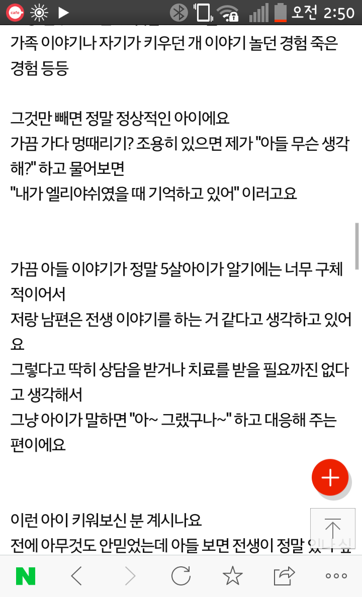 아들이 전생 이야기를 하는 거 같아요 | 인스티즈