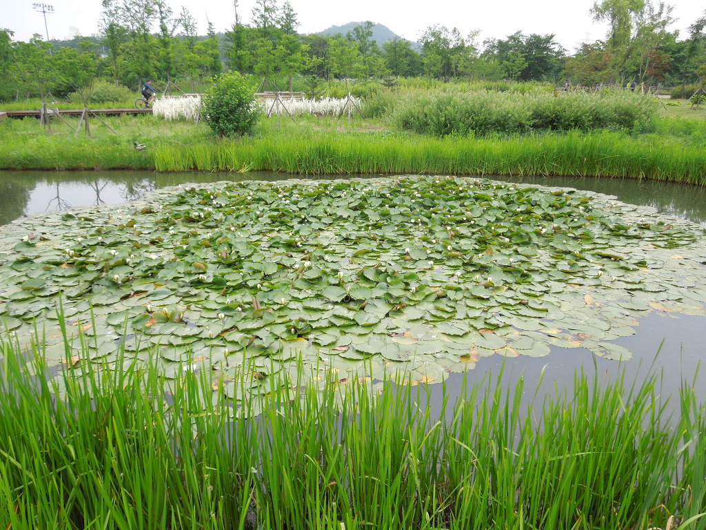 보은달 이미지