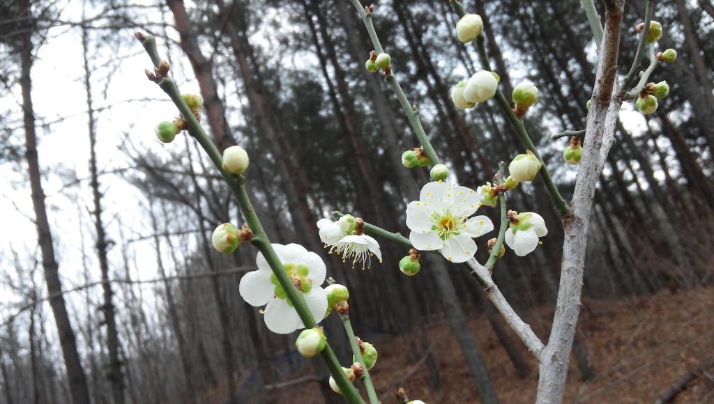 산중농원 이미지