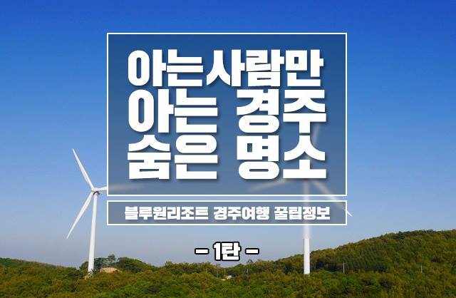 경주에 여행간다면 인생사진이 절로 나온다는 장소 리스트 (첨성대사진아님주의) | 인스티즈