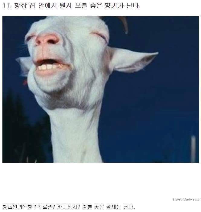 여자와 같이살면 생기는일들 | 인스티즈