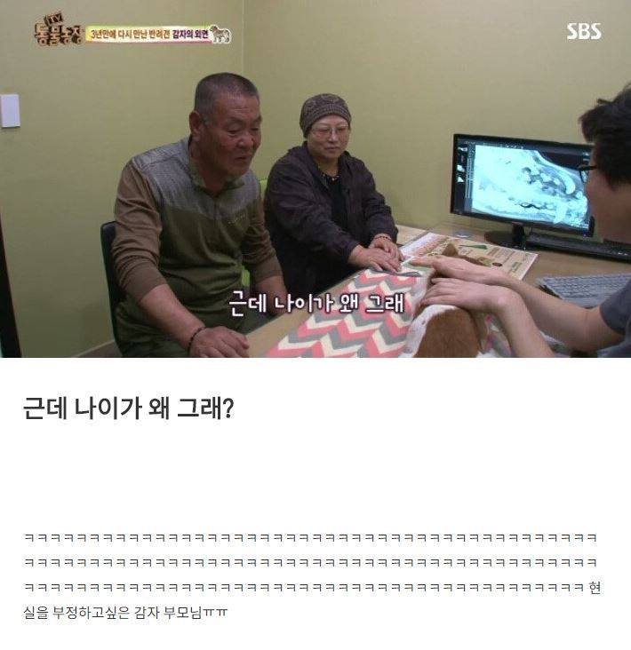 잃어버린 개를 3년만에 찾은 아저씨 | 인스티즈