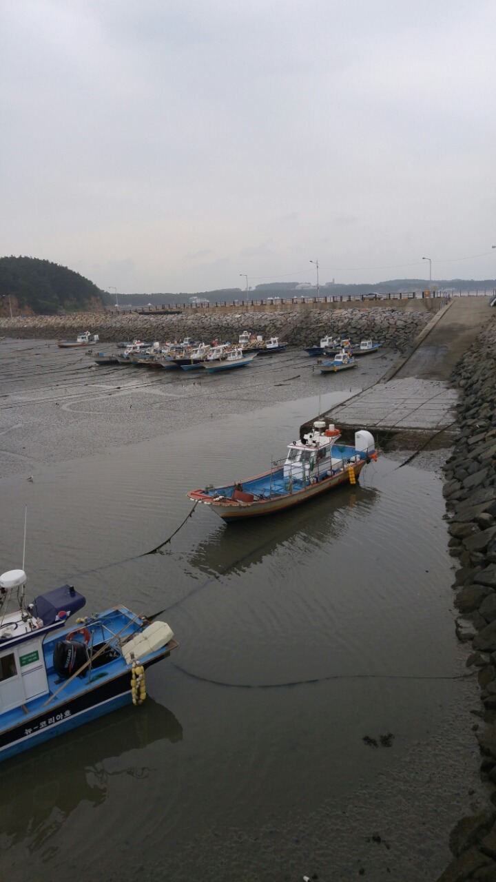 몽산포랑바다랑 이미지