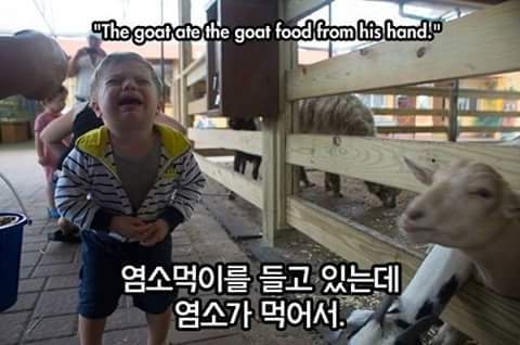 아이들이 우는 이유 | 인스티즈