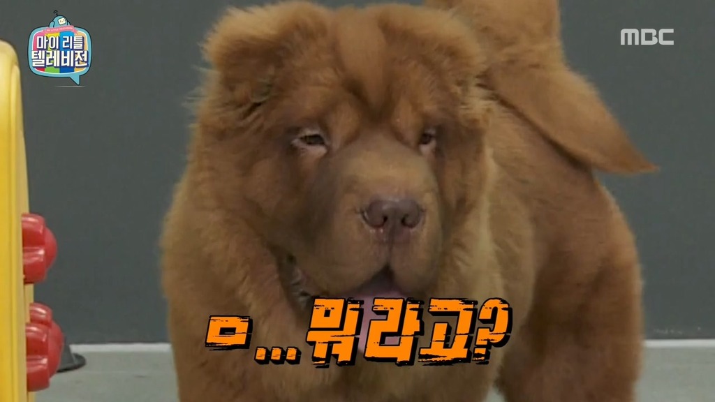 [마리텔] 나는 친해지고 싶었을뿐인데.jpg | 인스티즈