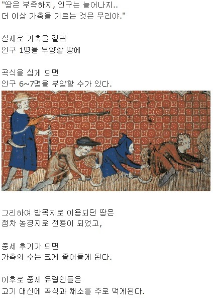 중세 유럽 하층민들은 어떻게 살았을까? | 인스티즈