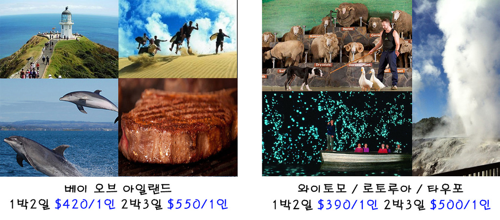2369A13E53CEF76828D383