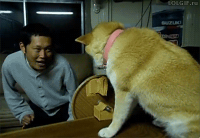 야 한번만 해줘라.gif | 인스티즈