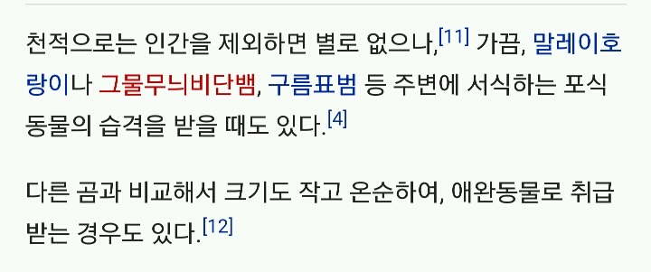기괴하게 생긴걸로는 만렙보스인 말레이곰 (혐오주의) | 인스티즈