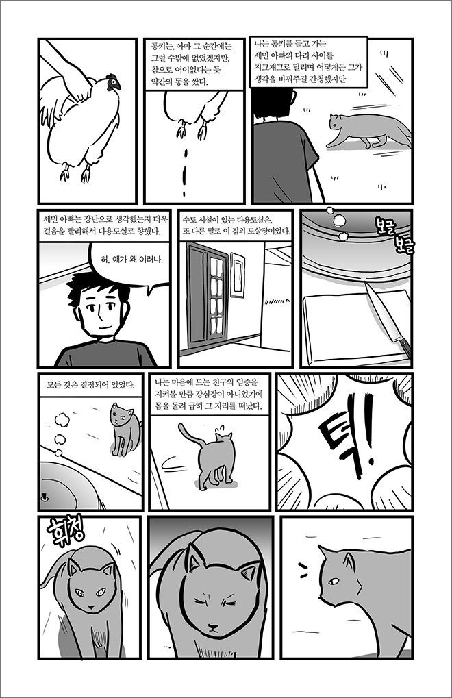 묘생만경 | 인스티즈