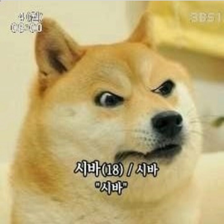 금이네 이미지