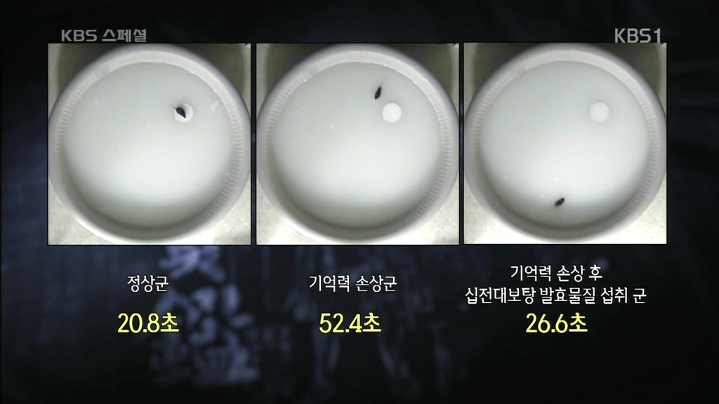 세계가 말하는 한의학과 동의보감 | 인스티즈