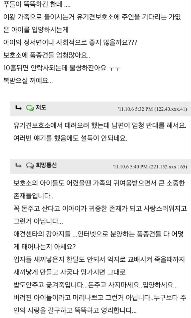 유기견 입양 권유 오지랖이다vs그럴 수 있다 | 인스티즈