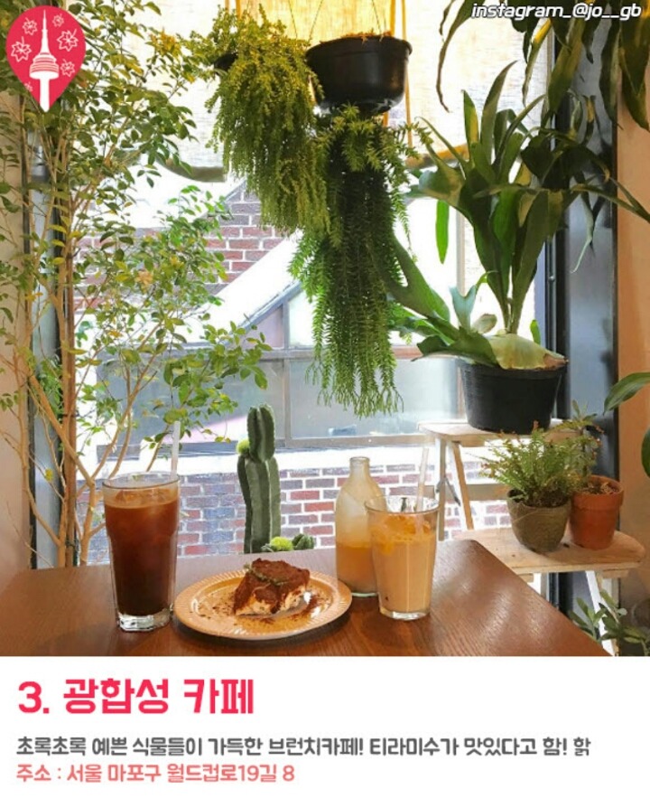 요즘 핫한 망리단길 카페들 | 인스티즈