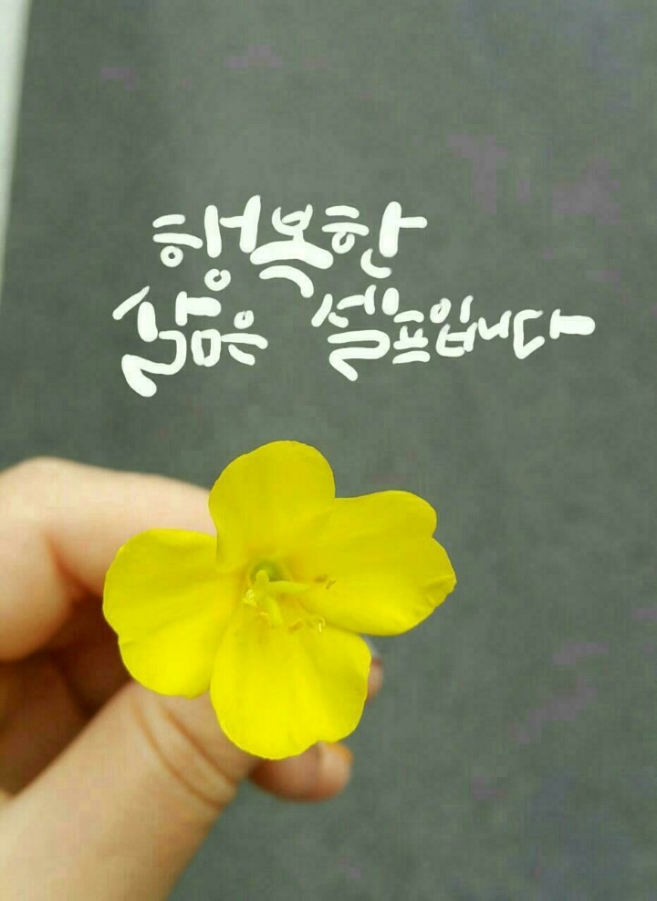 온공일 이미지