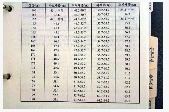 ㅇㅇ항공 승무원 몸무게 기준표 | 인스티즈