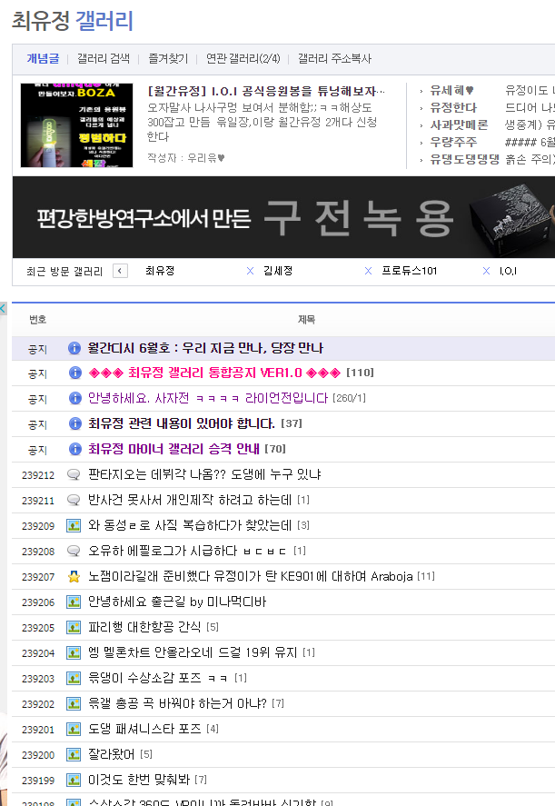 아주 단순하게 디씨 갤러리로 보는 아이오아이 멤버들 개인팬덤 화력 | 인스티즈