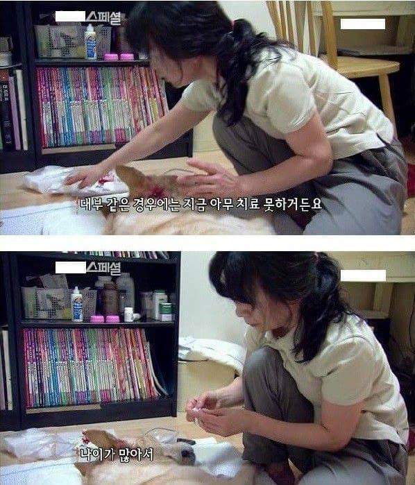 세상에서 가장 아름다운 이별 | 인스티즈