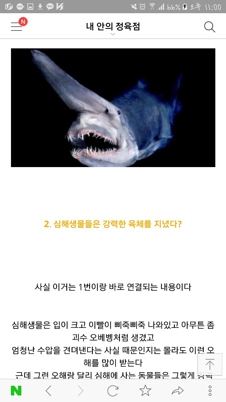 심해생물에 대해 당신들이 잘 모르는 사실들 | 인스티즈